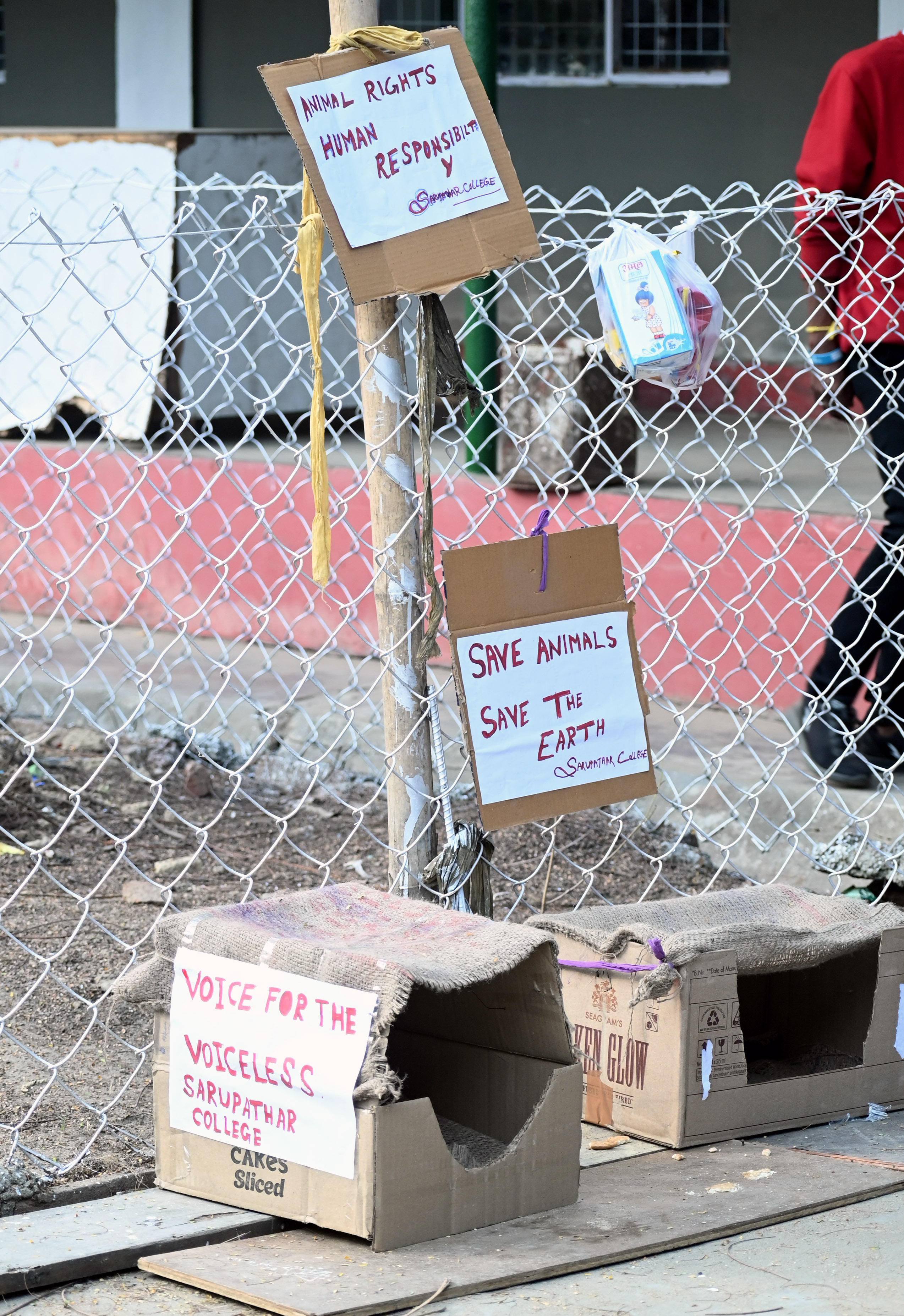 Youth Festival Gallery Image