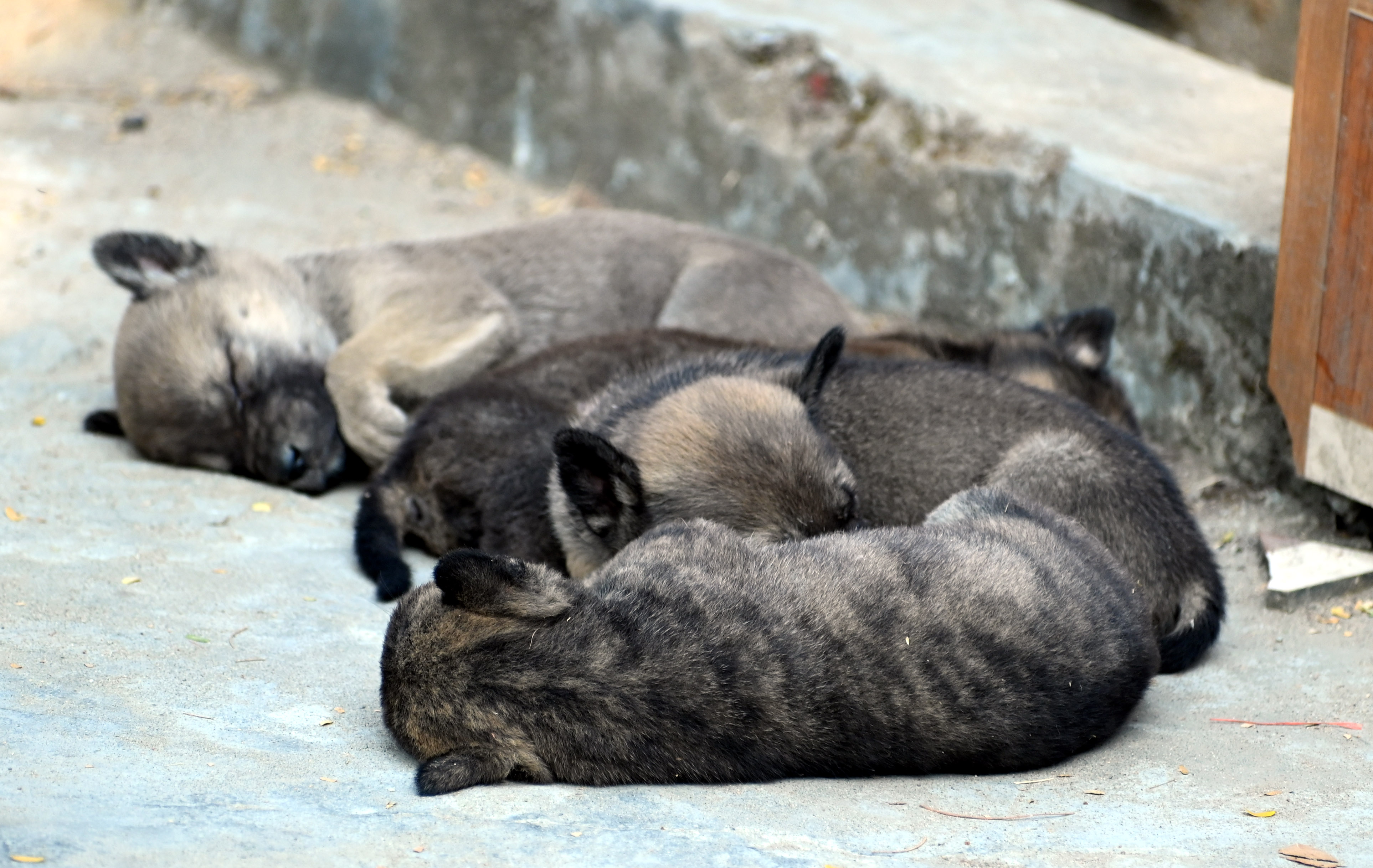 Youth Festival Gallery Image